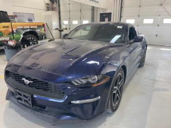 Image 1 2019 FORD MUSTANG